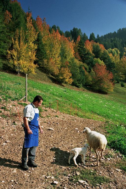 Ratzeshof Daire Castelrotto Dış mekan fotoğraf
