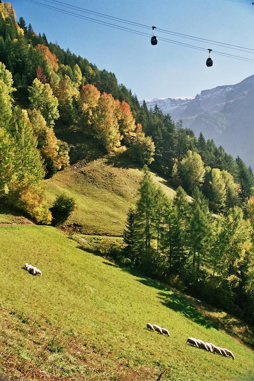 Ratzeshof Daire Castelrotto Dış mekan fotoğraf